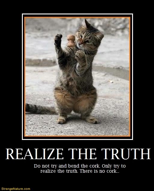 MOTIVATIONAL POSTER - realize the truth